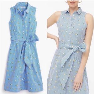 JCrew Lemon Print Striped Dress 🍋